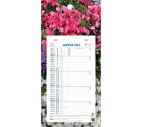 EXACOMPTA Calendrier mensuel Nature avec feuillets détachables 15,5 x 28,5 cm sur plaque imprimée 19 x 41 cm 2026 - Visuels assortis