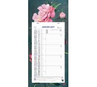 Exacompta - Calendrier mensuel Sophie Adde 13x23cm sur plaque - 2027