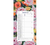 Exacompta - Calendrier mensuel Sophie Adde 15,5x28,5cm sur plaque - 2027