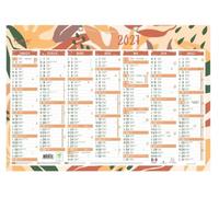 Exacompta - Calendrier semestriel Forever recyclé 43x33,5cm - 2027 | 13 mois, Impression Recto Verso, Perforation pour fixation murale, Fabriqué en France