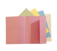 Exacompta Chemise à un rabat Nature Future® Jura 200 feuilles A4 24 x 32 cm en carte Couleurs pastel assorties Lot de 100