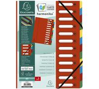 EXACOMPTA Classeur à levier, DIN A4, carton, 12 compartiments, rouge