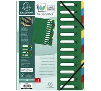 EXACOMPTA Classeur à levier DIN A4 Carton 12 compartiments vert
