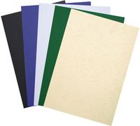 EXACOMPTA Couverture EVERCOVER DIN A4 ivoire 100 couvertures