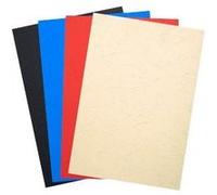 Exacompta Couvertures de reliure Forever A4 270 g/m² Couleurs assorties – Pack de 100