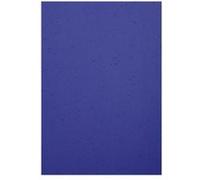 EXACOMPTA Pack de 100F EVERCOVER pour reliure A4 270 g Bleu Foncé