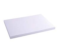 Exacompta Étui de 100 fiches Bristol 297 x 420 mm 205 g Blanc