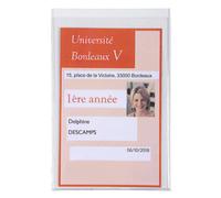 EXACOMPTA Etui de protection en PVC lisse 20/100e multi-usages - Cristal
