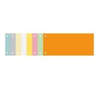 Exacompta Forever - Intercalaire - Paysage - Gris (Pack De 100)