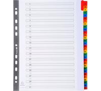 Exacompta Intercalaire 4131E DIN A4 Maxi 31 onglets 1-31 Blanc Carton 160g/qm