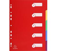 EXACOMPTA Intercalaire A4 PP 30/100 5 positions