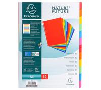 Exacompta Intercalaires Réf.99H – 12 onglets A4, carte lustrée rigide 400 g/m² FSC® assorties