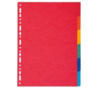 Exacompta Intercalaires carton A4 pour classeurs – 6 ou 12 touches