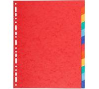 EXACOMPTA Intercalaires Carte Lustrée XXL 12 Positions 220g