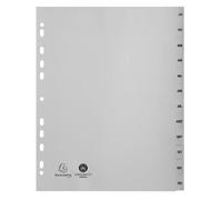 Exacompta Intercalaires A4 Maxi PP recyclé imprimés mensuels Janvier-Décembre 12 onglets Gris