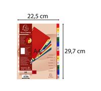 Exacompta Intercalaire A4 en polypropylène 18/100ème recyclable – 12 positions