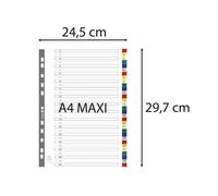 EXACOMPTA Intercalaires imprimés numériques PP couleurs 12/100e - 31 positions - A4+ - Assorties vives
