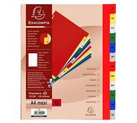 Exacompta Intercalaires mensuels A4+ en polypropylène, 12 divisions, assortis