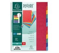 Exacompta Intercalaires Réf.99H – 12 onglets A4, carte lustrée rigide 400 g/m² FSC® assorties
