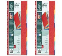 EXACOMPTA Jeu d’intercalaires 12 positions format 24 x 30 cm pour pochettes perforées. Carte lustrée 3/10e. (Lot de 2)