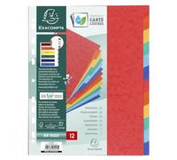 Exacompta Jeu d'intercalaires 12 positions format 24 x 30 cm Maxi Carte lustrée 3/10e