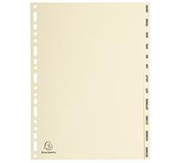 EXACOMPTA Jeu intercalaire CARTE PEAU A4 12 POS. JANV/DEC.