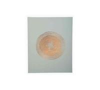 Exacompta Livre D'or Ellipse, 220 X 270 Mm, Rose