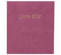 Exacompta - Réf. 390E -1 Livre d'or Skandi - Format compact 21 x 19 cm - Aspect velours - Marquage or avec inscription livre d'or - Tranche or - 140 pages blanches unies - Coloris : vieux rose