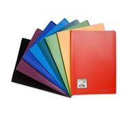 Exacompta - Réf. 8530E - 1 Protège-documents OPAK - 30 pochettes grainées antireflet - 60 vues - pour format A4 - dimensions 24 x 32 cm - couverture en polypro souple - 8 couleurs aléatoires