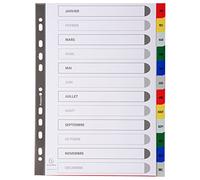 EXACOMPTA Lot de 20 Jeux intercalaire A4 Mois PP coul.+ index