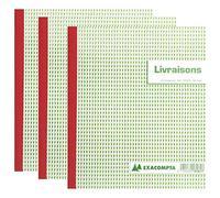 Exacompta - Réf. 13160AE - 1 Manifold LIVRAISONS - 50 feuillets numérotés et autocopiants - duplicatas (1 original + 1 copie) - format 210 x 180 mm - fabriqué en France