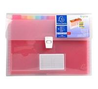 EXACOMPTA Lot de 5 Trieurs Valisette PP 13 Compartiments 33X25 CRYSTAL G