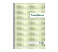 Exacompta Manifold Recettes-Dépenses - 29,7 x 21 cm - 50 feuilles autocopiantes - 2 exemplaires