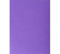 Exacompta Nf Pack De 25 Chemises Double Poche Pour A4 220 G/M 24 X 32 Cm Violet