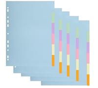 Exacompta Pack 5 Jeux d'intercalaires Carte Recy 6 Onglets Neutres A4