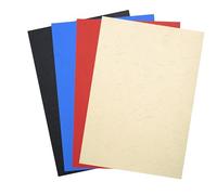 EXACOMPTA Pack de 100 couvertures Forever A4 270 g Couleurs Assorties
