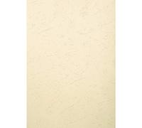 EXACOMPTA Pack de 100F EVERCOVER pour reliure A3 270 g Ivoire