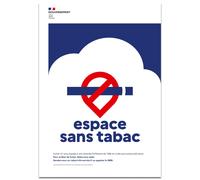 Exacompta - Réf. 67083E - 1 panneau non adhésif Espace sans tabac - En polypropylène résistant et qualitatif - 21 x 30 cm - Format A4 - Conforme Décret 2025-582 - Interdiction de fumer