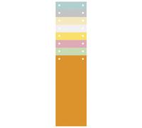 EXACOMPTA Paquet 100 fiches intercalaires horizontales unies perforées - 105x240mm - Couleurs assorties