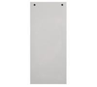 EXACOMPTA Paquet 100 fiches intercalaires horizontales unies perforées - 105x240mm - Gris