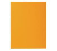 Exacompta - Réf. 217126E - Paquet de 10 chemises rigides ROCK''S 210 g/m2 aux couleurs vives - chemises certifiées PEFC™ - dimensions 24 x 32 cm pour format A4 - couleur ocre