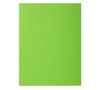 Exacompta - Paquet de 10 chemises rigides ROCK'S 210 g/m² 24x32 cm A4 Vert - PEFC