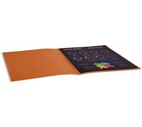 EXACOMPTA Paquet de 100 chemises Rock's en carte 210 g, coloris havane