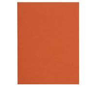 Exacompta Paquet de 100 Sous Chemises Flash 80 g/m2 Orange
