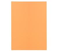 EXACOMPTA Paquet de 100 sous-chemises SUPER 60 - 22x31cm - Bulle