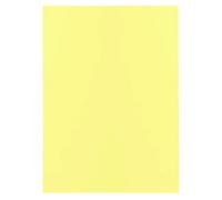 EXACOMPTA Paquet de 250 sous-chemises SUPER 60 - 22x31cm - Canari