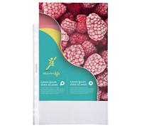 Exacompta Pochettes perforées transparentes Qualité+ A4 polypropylène 7/100e grainées cristal - Lot de 100