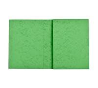 EXACOMPTA Protège cahier carte lustrée 265g - 24x32 cm - Tilleul