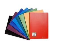 EXACOMPTA Protège-documents A4 30 pochettes 60 Vues Coloris Aléatoire