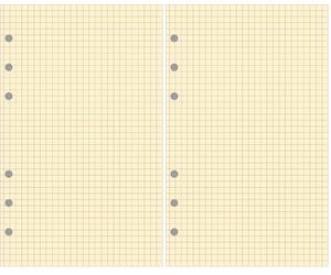 EXACOMPTA Recharge accessoire Exatime 17 bloc quadrillé chamois 40 feuillets 172x105 mm (Lot de 2)